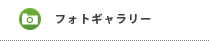 フォトギャラリー